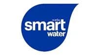 Smart brand logo