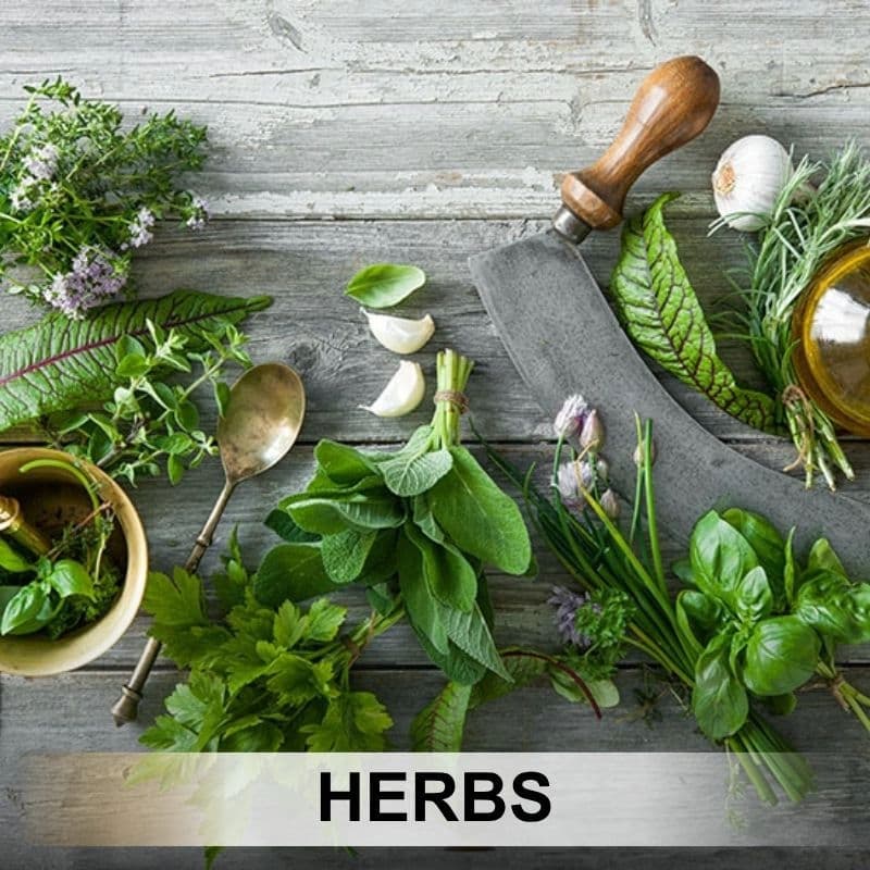 Herbs category