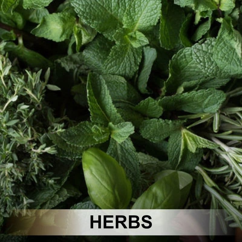 Herbs category