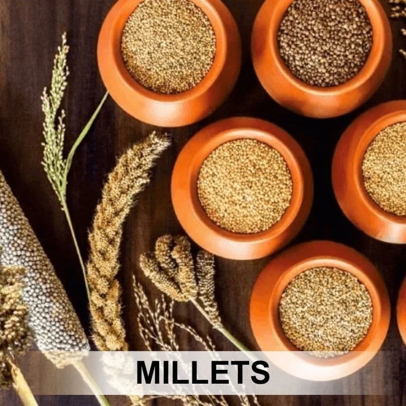 Millets category