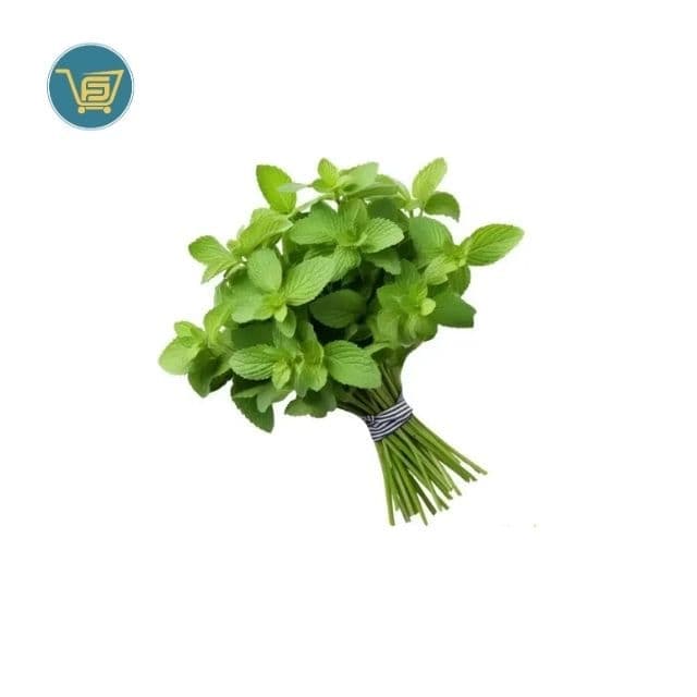 Mint 2 Bunch