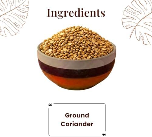 MODISON Coriander Dal Indian Namkeen Crispy Roasted Snack 180g thumbnail 7