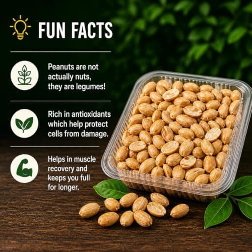 MODISON Roasted Peanuts Healthy Snacks Protein Rich Groundnuts 250g thumbnail 6
