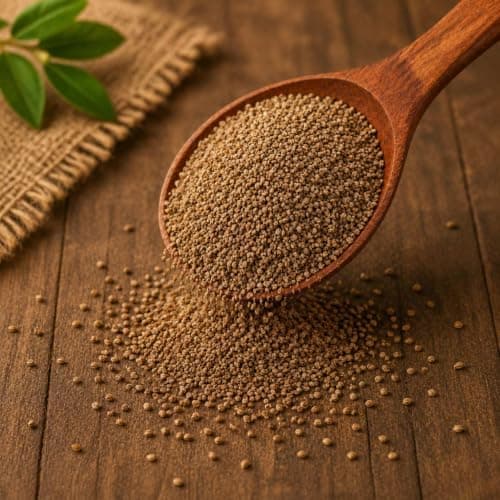 MODISON Ajwain Carom Seeds Whole Spice Natural 100g thumbnail 4
