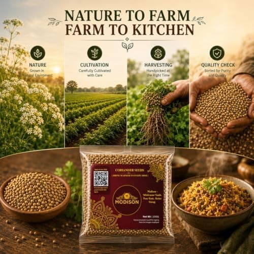 MODISON Coriander Seeds Whole Spice Natural 100g thumbnail 6