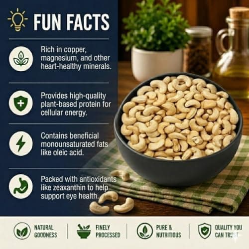 MODISON Cashew Nuts Healthy Snacks Natural Whole Kaju 500g thumbnail 4