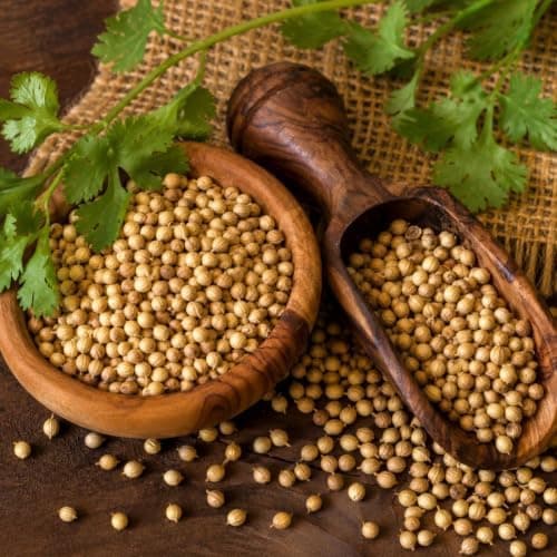 MODISON Coriander Seeds Whole Spice Natural 100g thumbnail 7