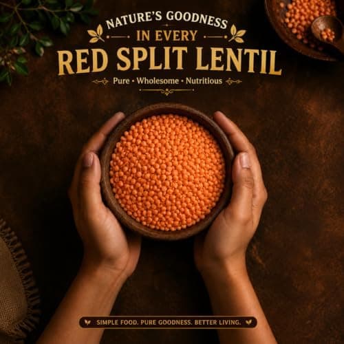 MODISON Red Split Lentils Masoor Dal High Fibre Pack 5x500g thumbnail 2