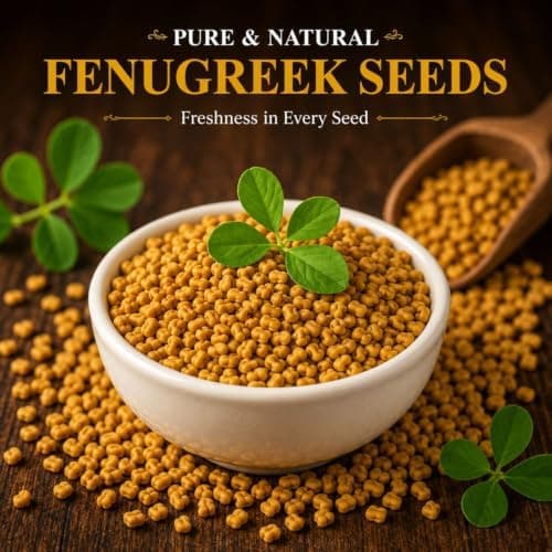 MODISON Fenugreek Seeds Whole Spice Natural 100g thumbnail 3