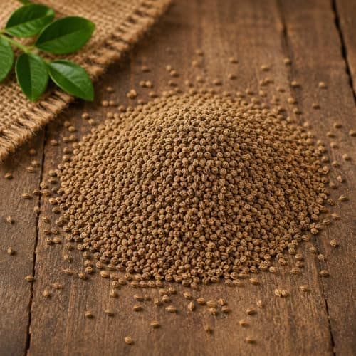 MODISON Ajwain Carom Seeds Whole Spice Natural 100g thumbnail 5