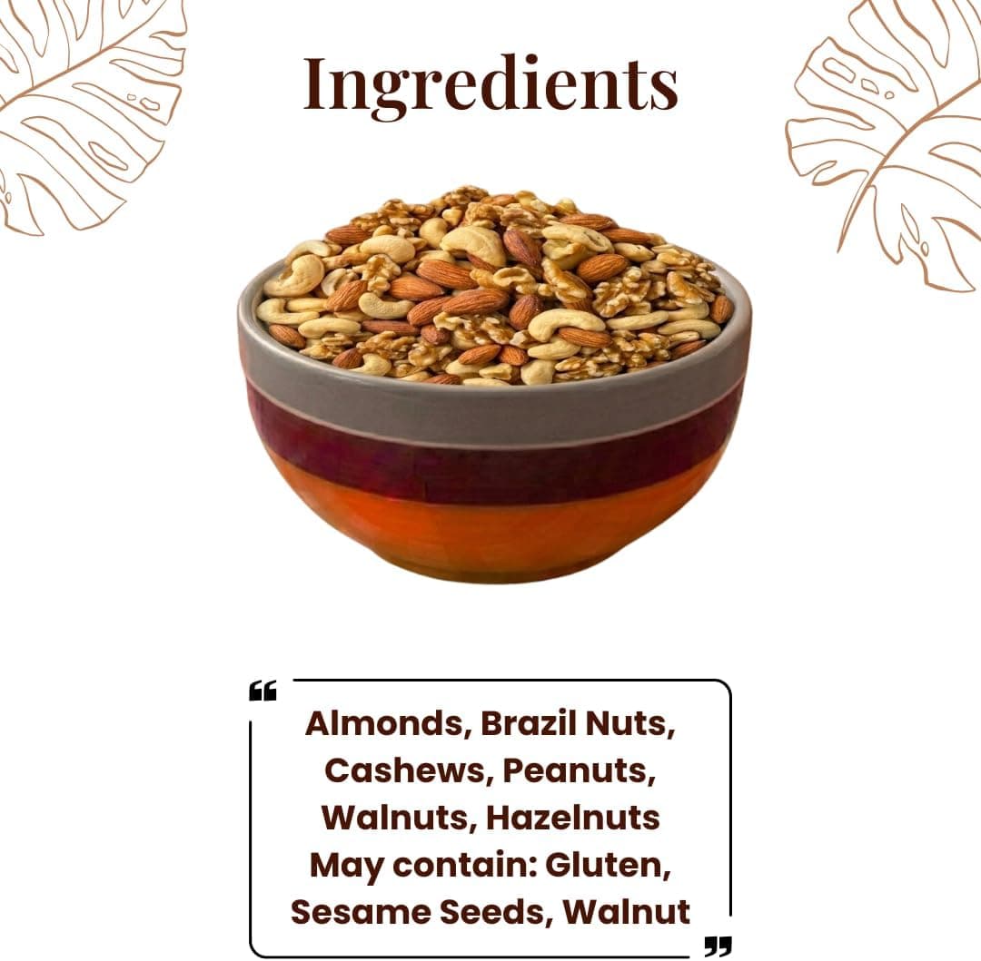 MODISON Mixed Nuts Healthy Indian Snacks Mix 400g thumbnail 11