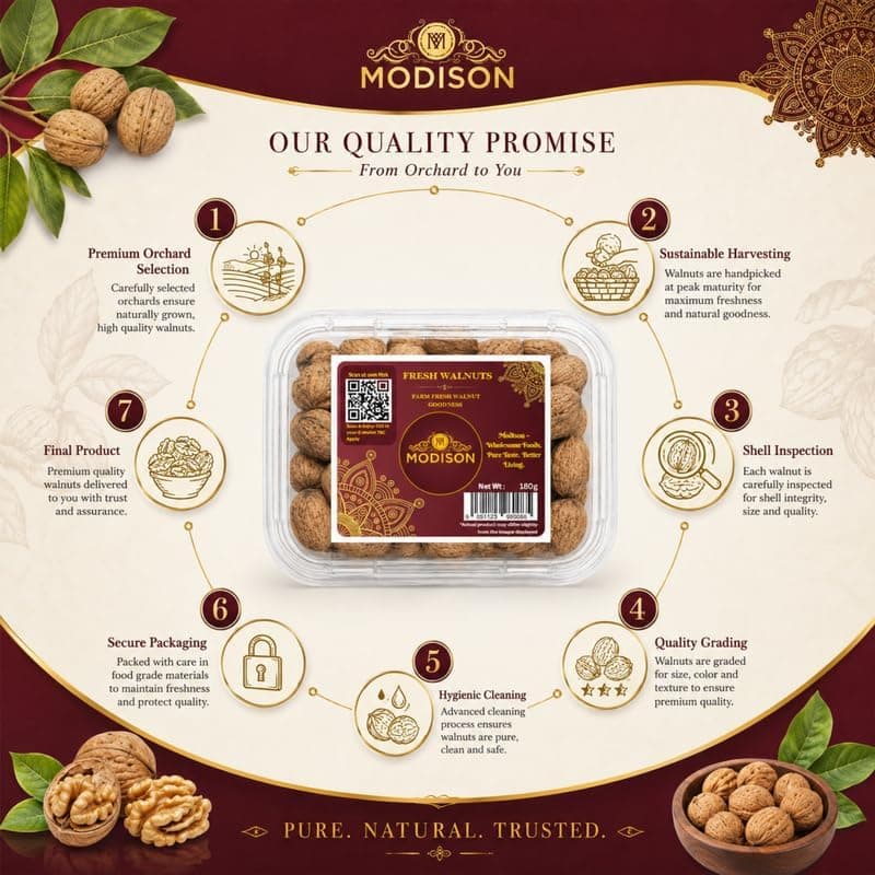 MODISON Fresh Walnuts Indian Dry Fruit Raw Akhrot Natural 180g thumbnail 5