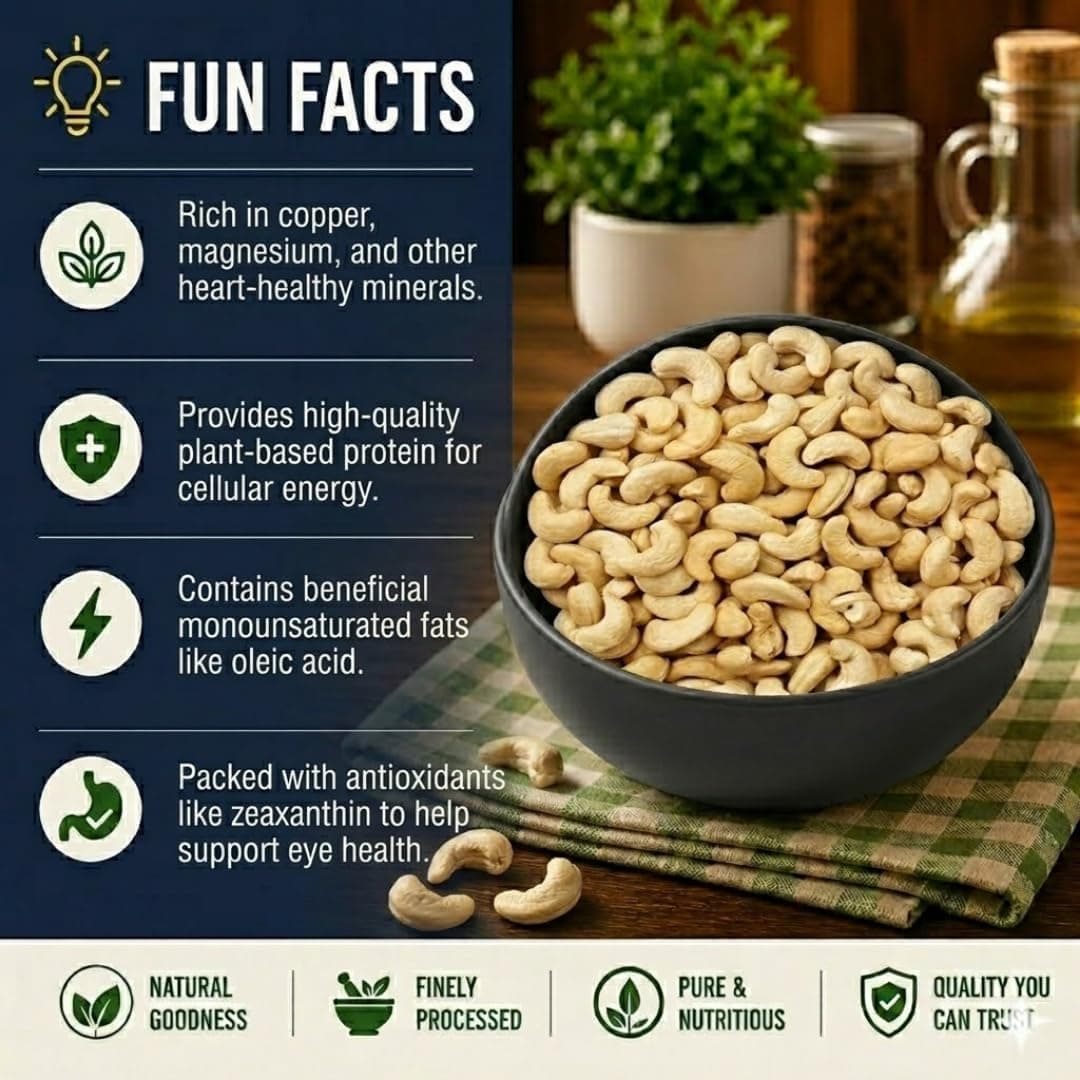 MODISON Cashew Nuts Healthy Snacks Natural Whole Kaju 500g thumbnail 10