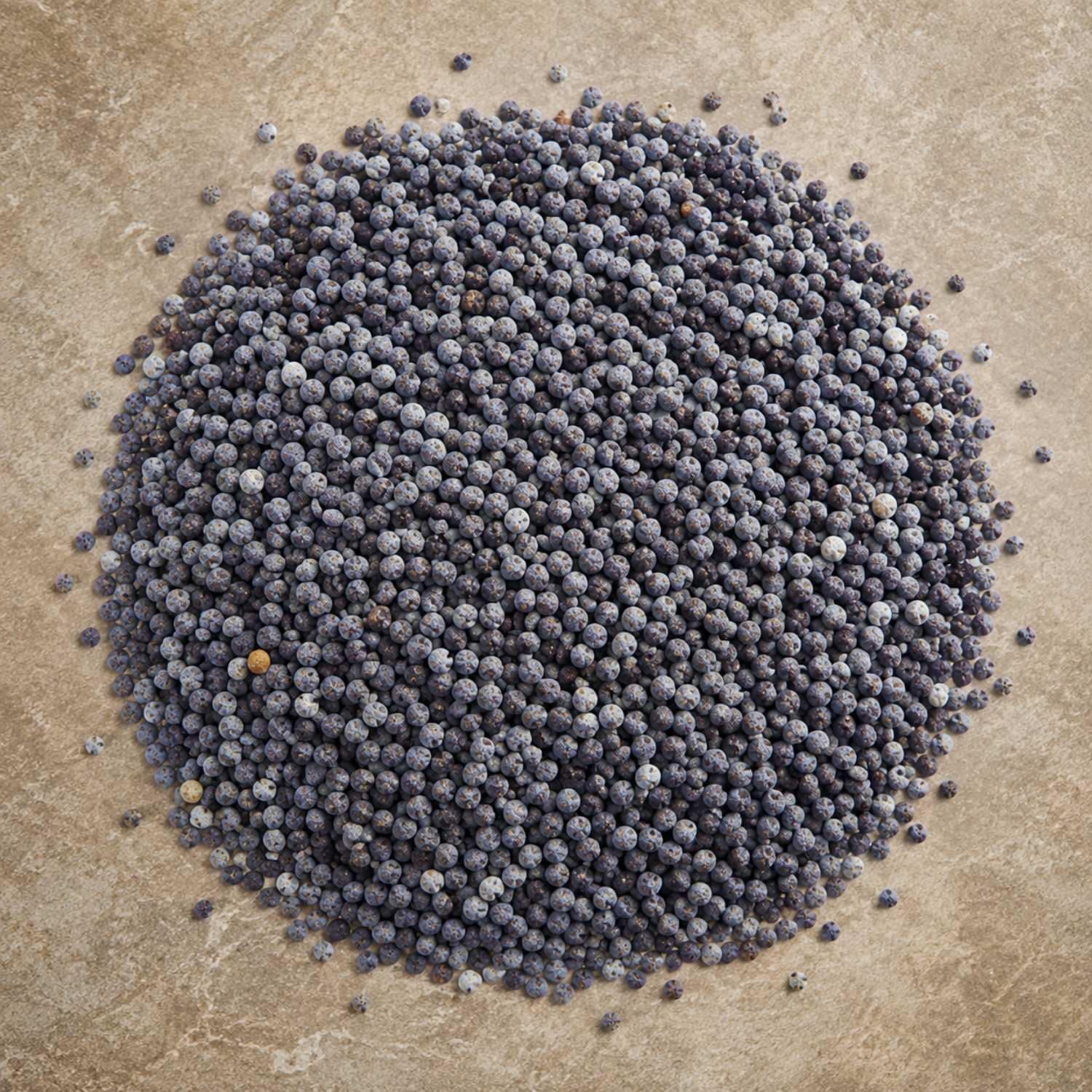 MODISON Blue Poppy Seeds Whole Natural Baking Spice 250g thumbnail 12