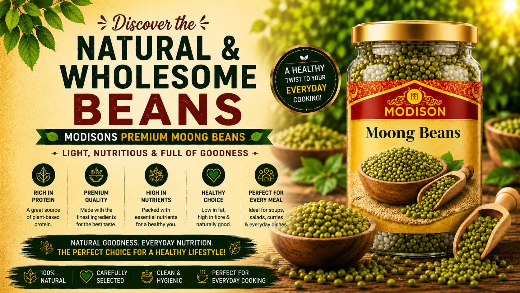 Explore the Finest Premium Beans in the UK | Modison Dried Beans