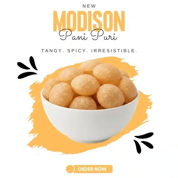 Premium Quality Pani Puri | MODISON - Image 2