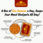 Sev Samosa - Image 2